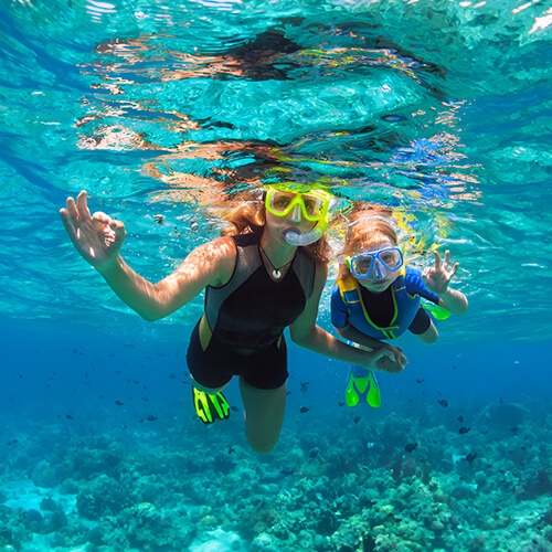 Scuba Diving and Snorkeling